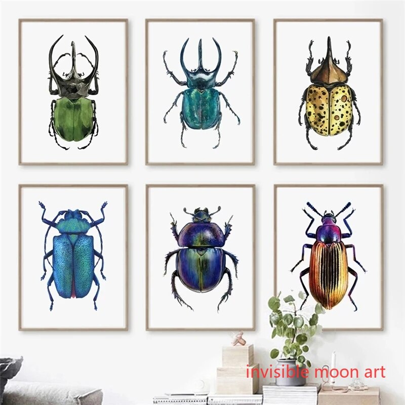 Vintage Collectible Posters - Vintage Insectenkunst Kleurrijke Kever Collectie Serie